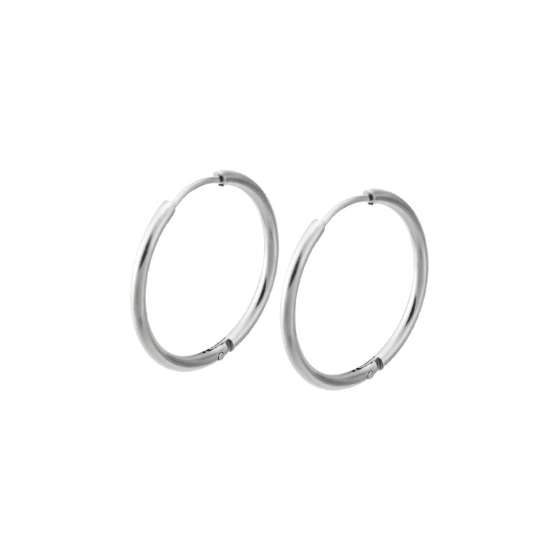Hoop earrings/ surgical steel/ 20x2mm/ 2pcs BKSCH46