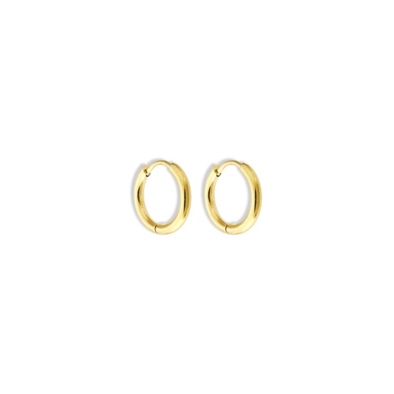 Gold hoop earrings / surgical steel / 12x2mm 2pcs BKSCH88KG