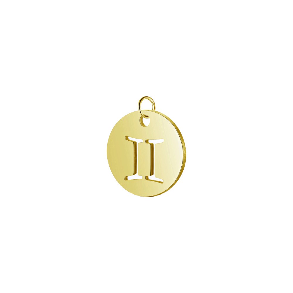 Twins coin pendant / surgical steel / gold 12mm 1 pc ASS607C
