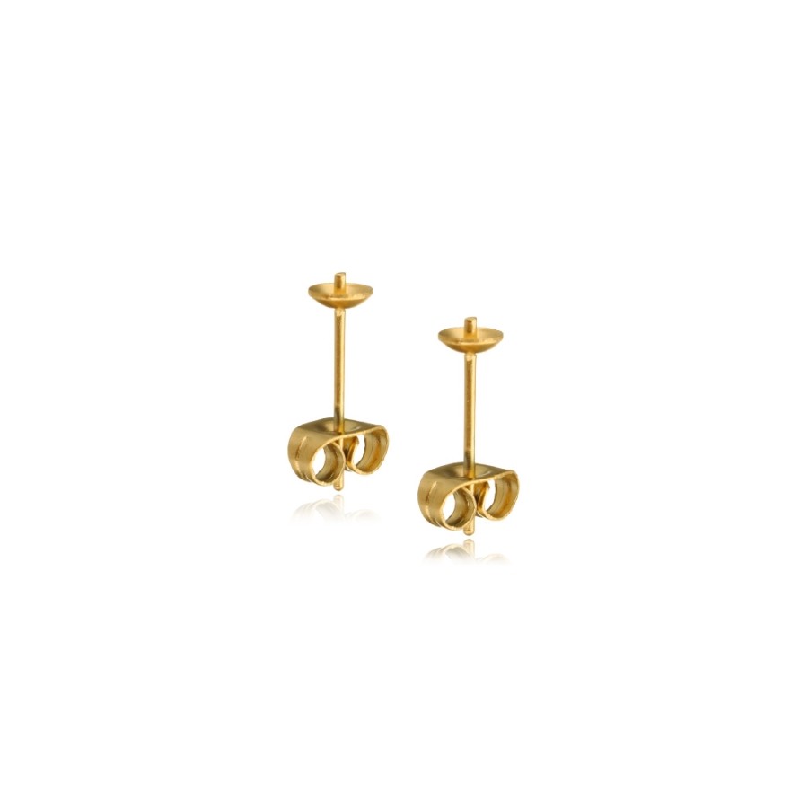 Sticks for pasting/ cap with a pin/ surgical steel/ gold 2pcs BKSCH70KG