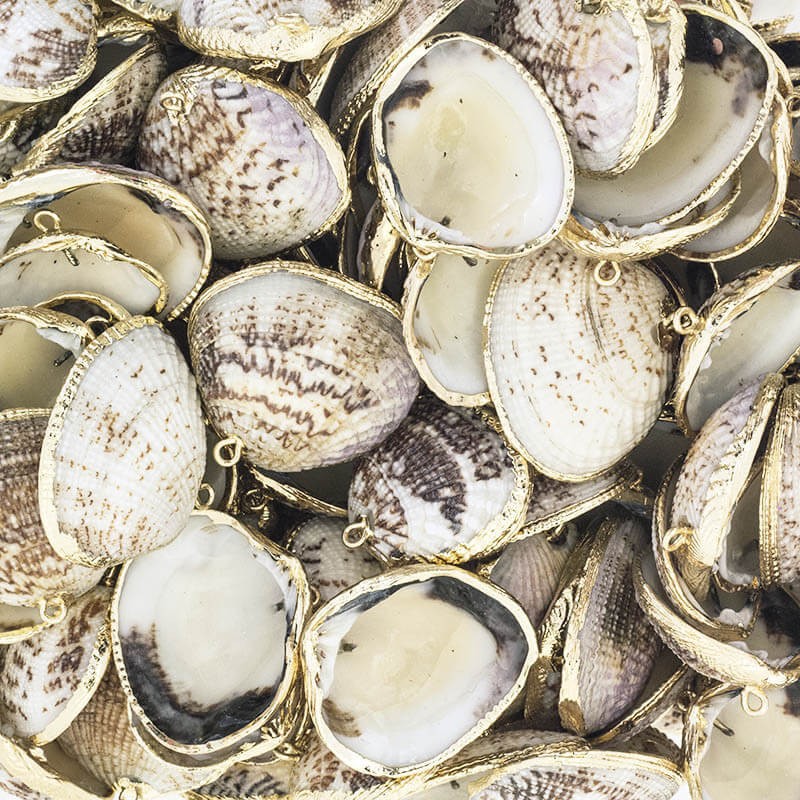 Pendant shells / gold 28x35mm 1pc. MU033