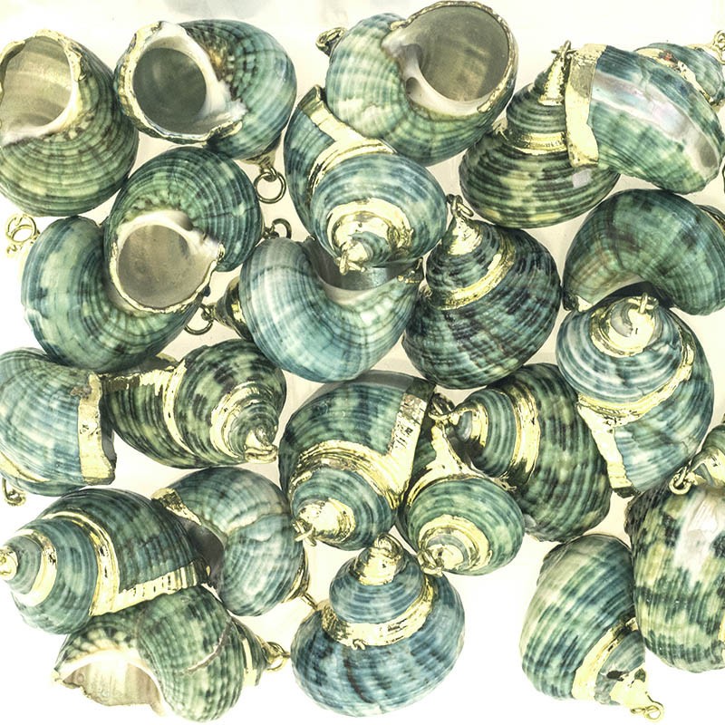 Green shells, snails, pendants with a circle / large gold 1 pc. MU029