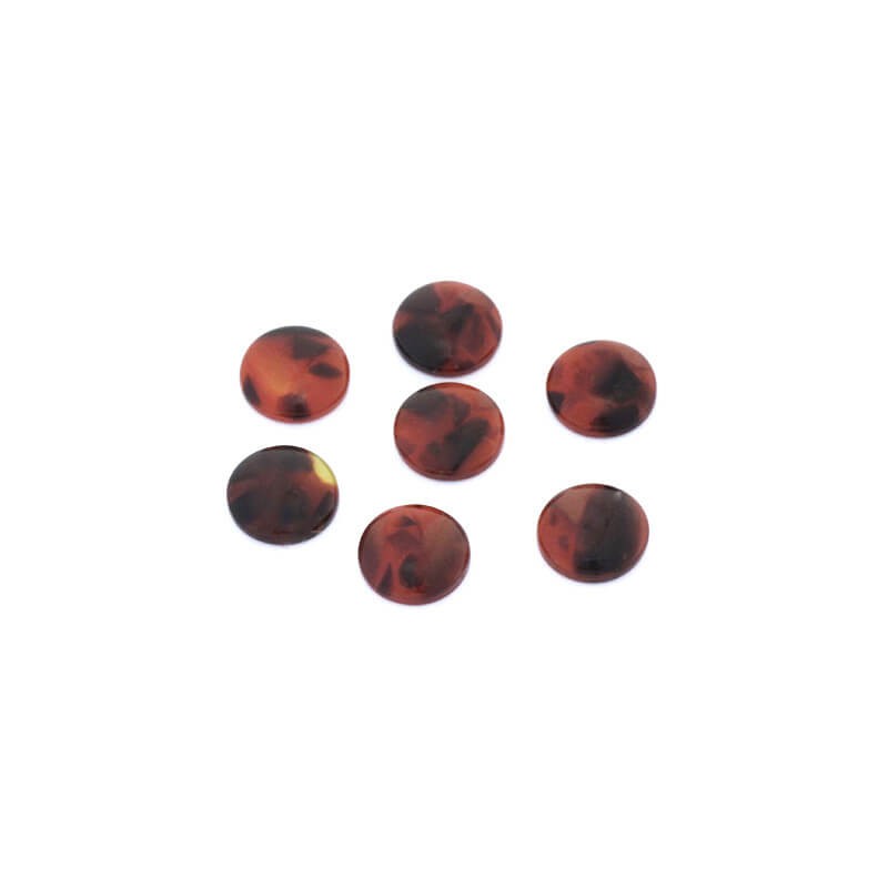 Resin cabochons with shell / 10mm / brown 4pcs KBAD1008