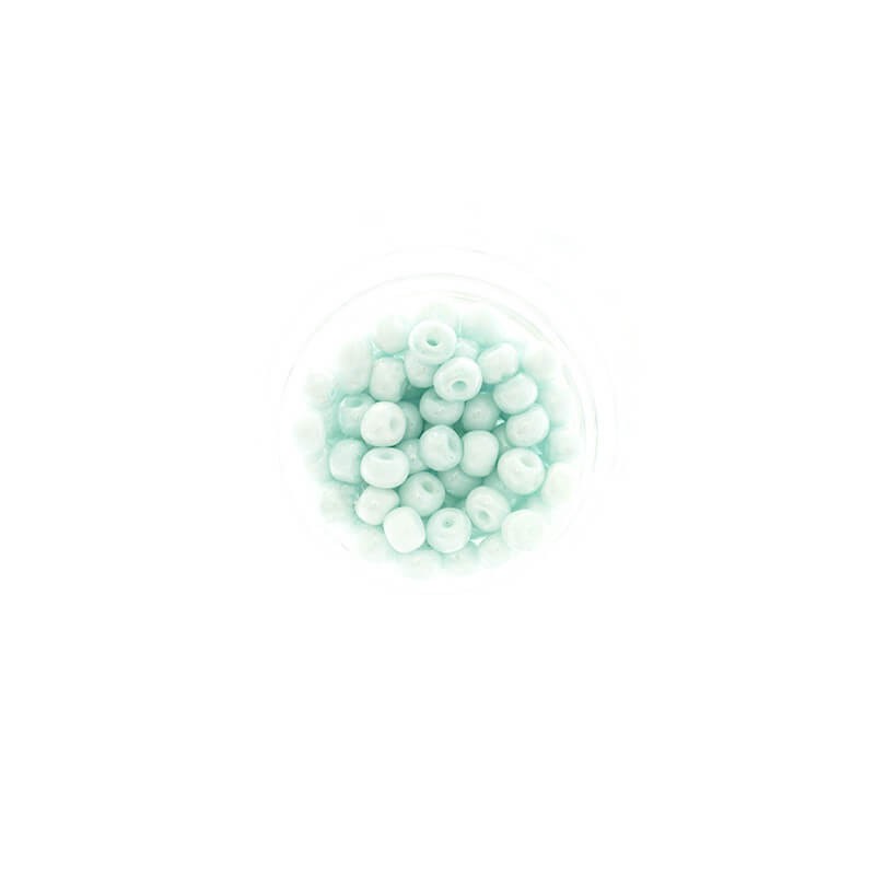 SeedBeads Premium Pearl Mint (7/0) 10g SZDR40PE002