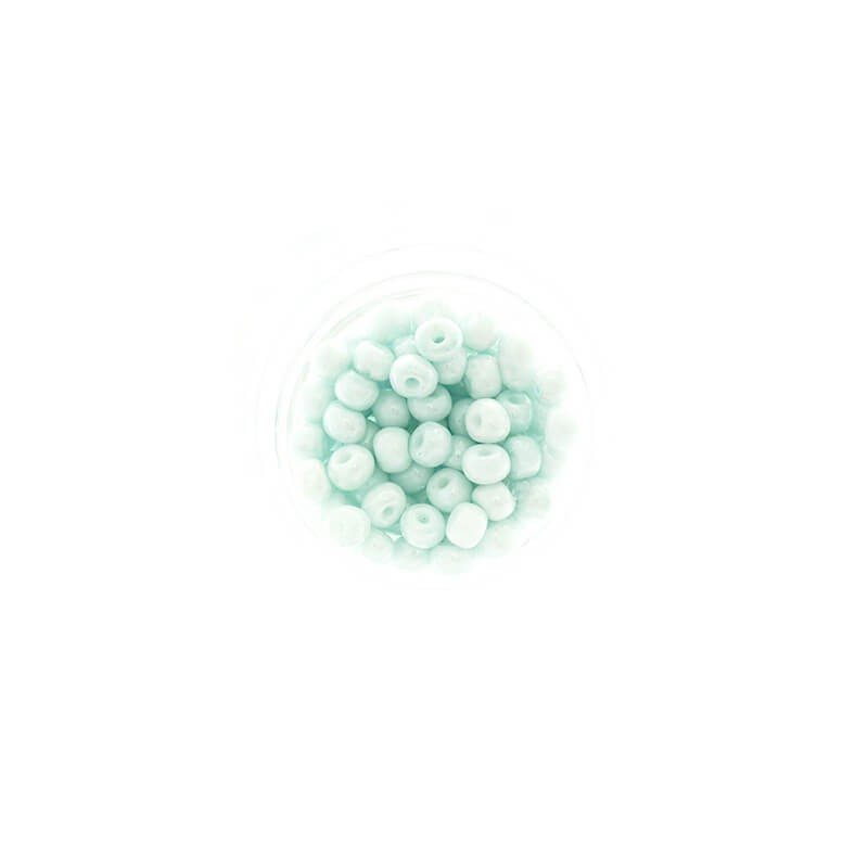 SeedBeads Premium Pearl Mint (7/0) 10g SZDR40PE002