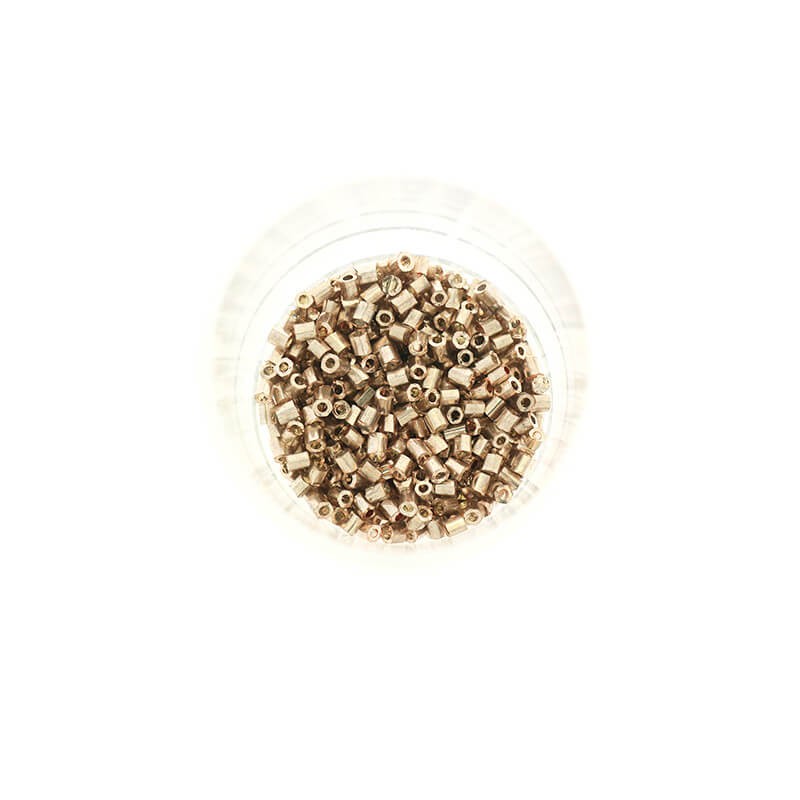 Tube beads 2mm SeedBeads Metalic champagne 10g SZDRR20ME002