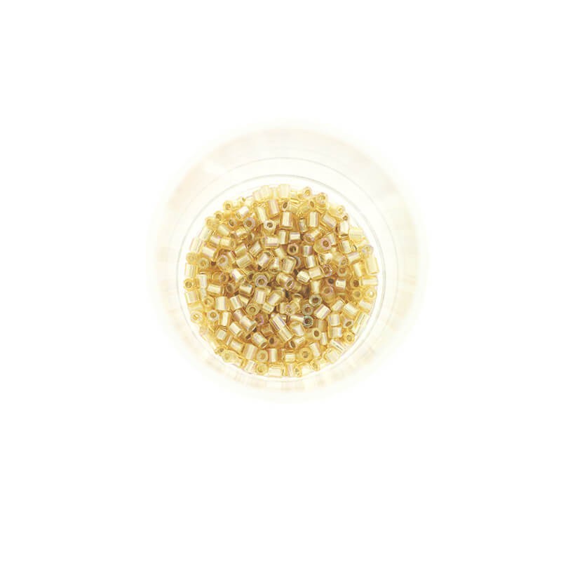 2mm SeedBeads Luster Light gold tube beads AB 10g SZDRR20AB003