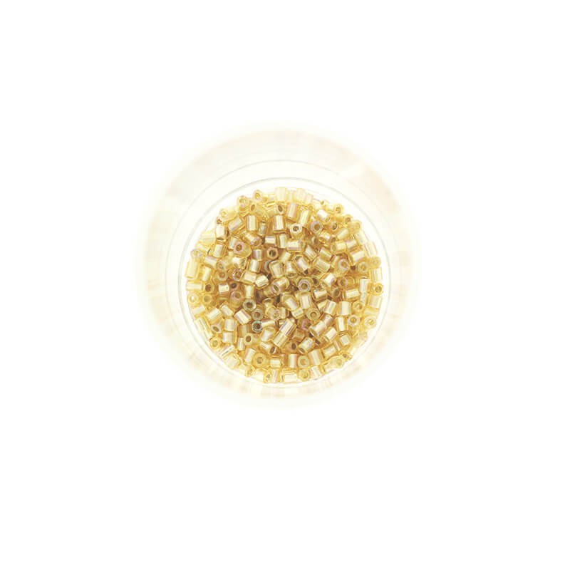 2mm SeedBeads Luster Light gold tube beads AB 10g SZDRR20AB003