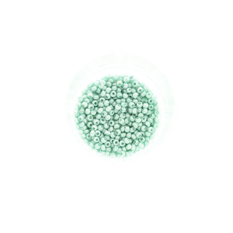 Small beads / SeedBeads / Mint Pearl (12/0) 10g SZDR20PE012