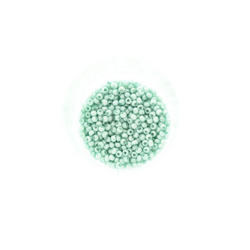 Small beads / SeedBeads / Mint Pearl (12/0) 10g SZDR20PE012