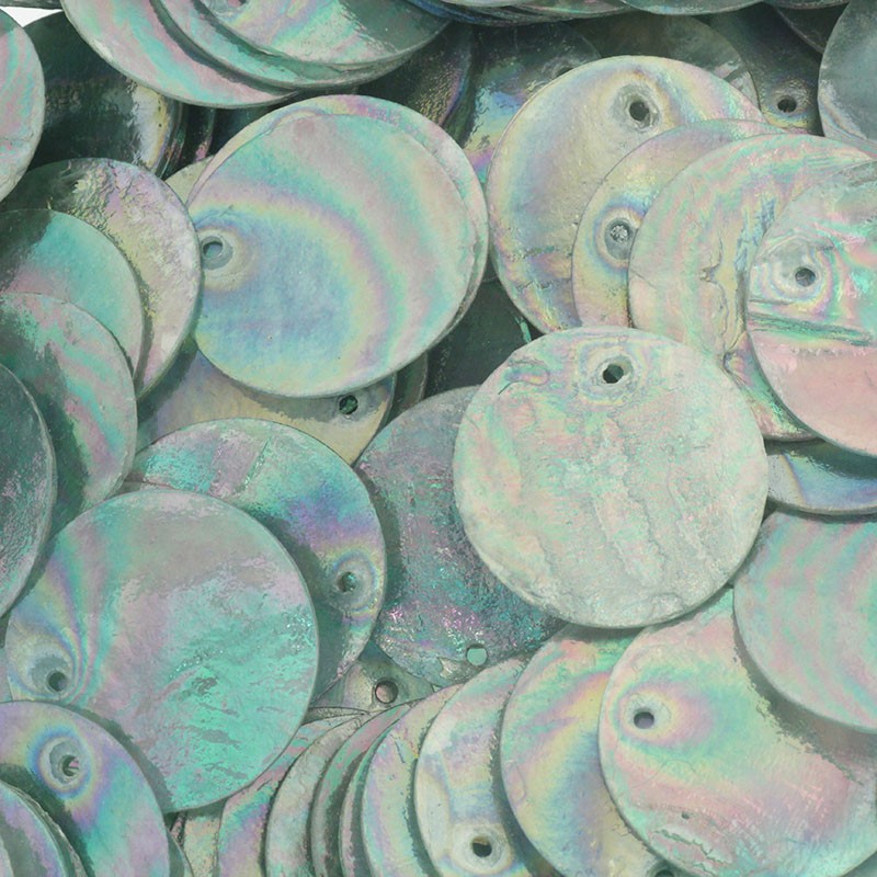 Pendants / coins inside the shell 25mm / iridescent green / 1pc / MU117