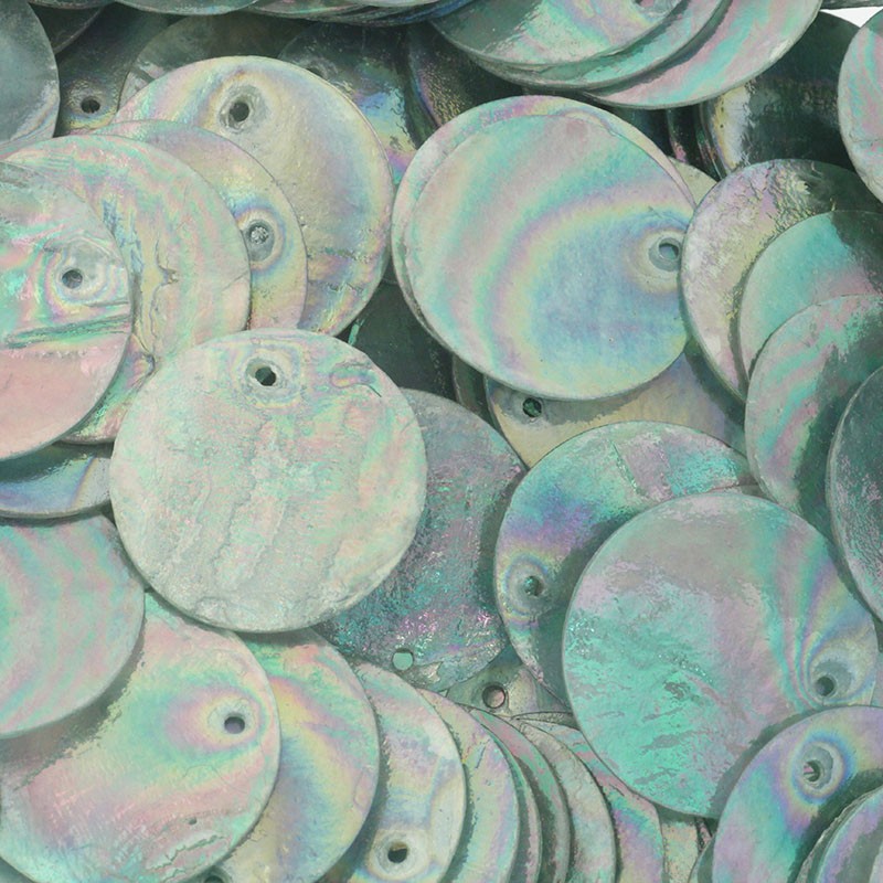 Pendants / coins inside the shell 25mm / iridescent green / 1pc / MU117