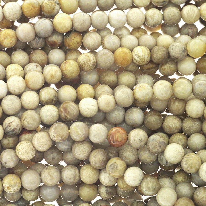 Petrified coral / beads beads 6mm 73pcs / rope KACF06