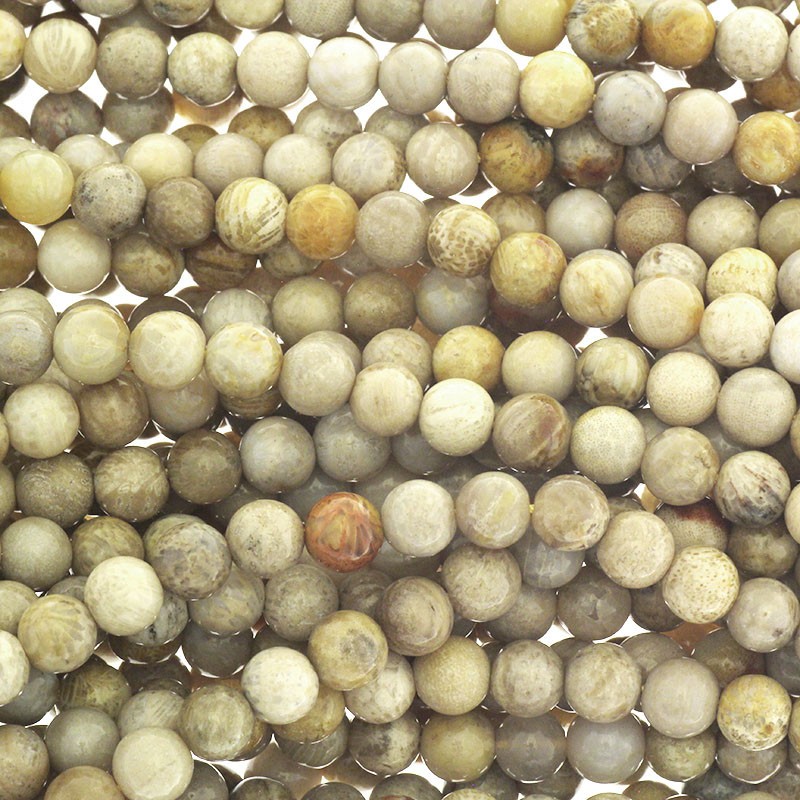 Petrified coral / beads beads 6mm 73pcs / rope KACF06
