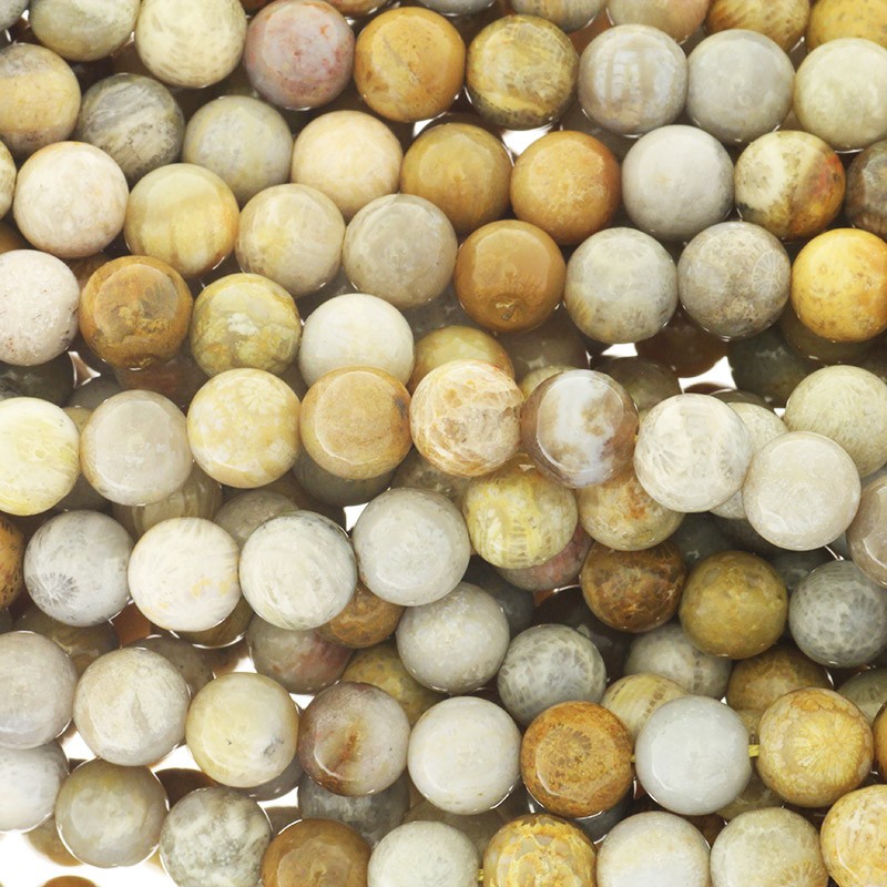 Petrified coral / beads beads 9mm 45pcs / rope KACF09