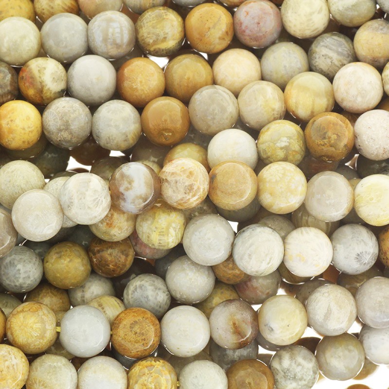Petrified coral / beads beads 9mm 45pcs / rope KACF09