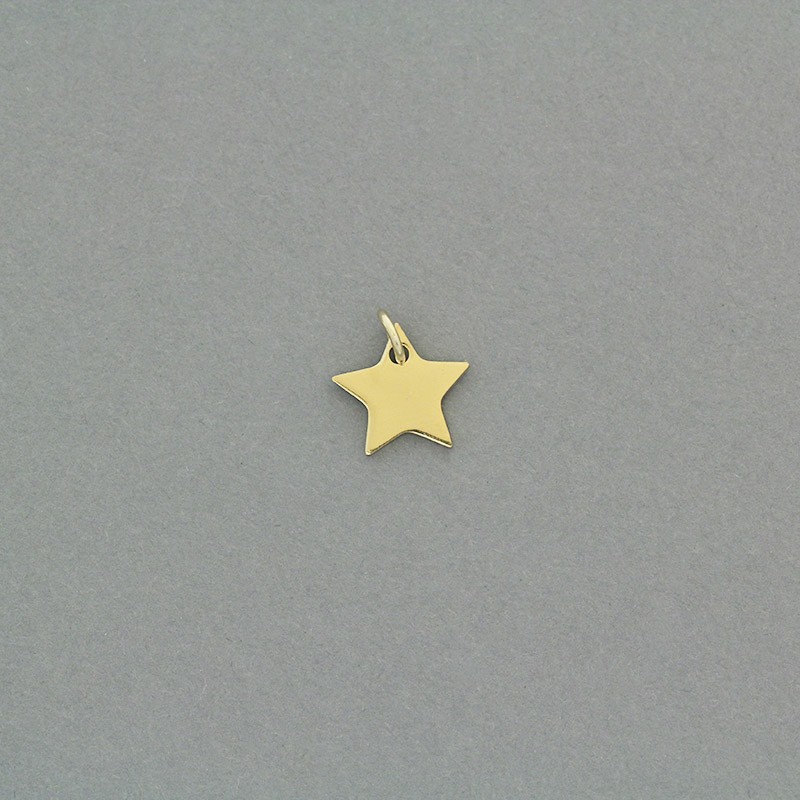 Star pendant / surgical steel gold-plated / 12.5mm 1pcs AKGSCH010