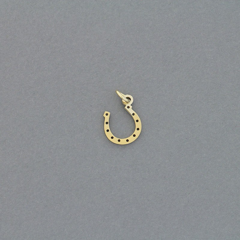 Horseshoe pendant / surgical steel gold-plated / 10x13mm 1pc AKGSCH011