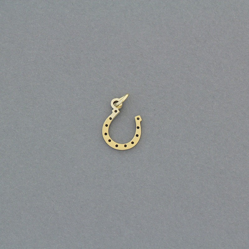 Horseshoe pendant / surgical steel gold-plated / 10x13mm 1pc AKGSCH011