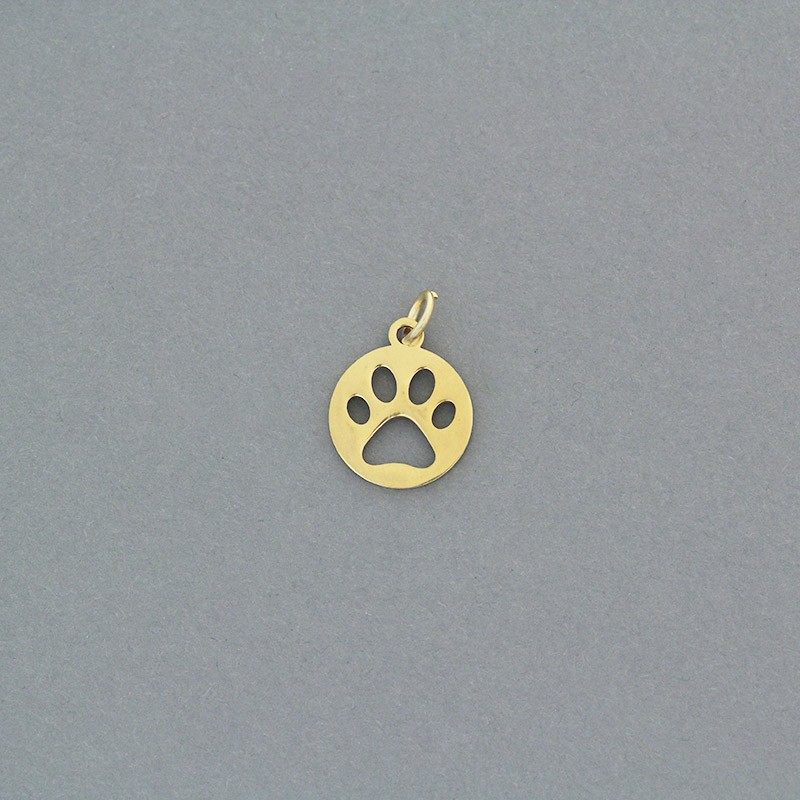 Coin pendant with a paw / gold-plated surgical steel / 12mm 1pc AKGSCH013