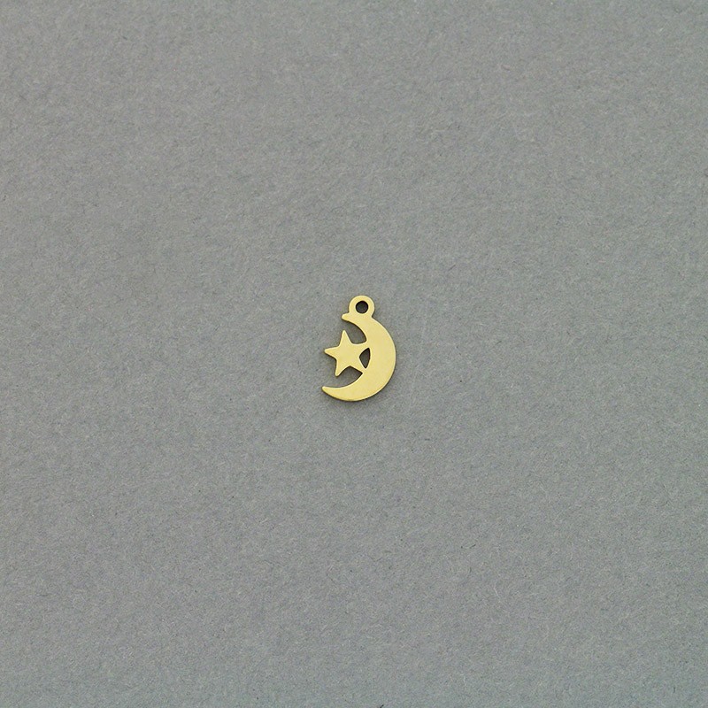Pendants moons / surgical steel gold-plated / 6x10mm 1pc AKGSCH021