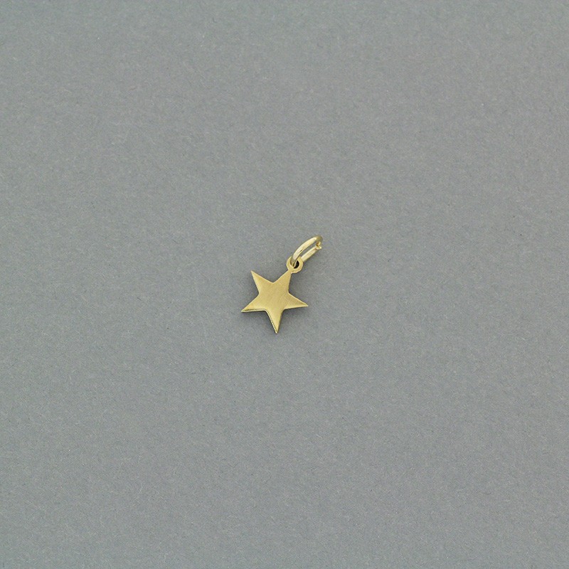 Pendants stars / surgical steel gold-plated / 7x9mm 1pcs AKGSCH023