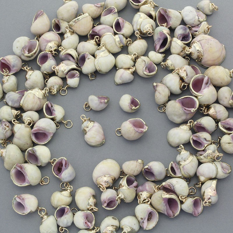 Natural shells from 15mm to 27mm with an eyelet and gold plating 1 pc. MU160