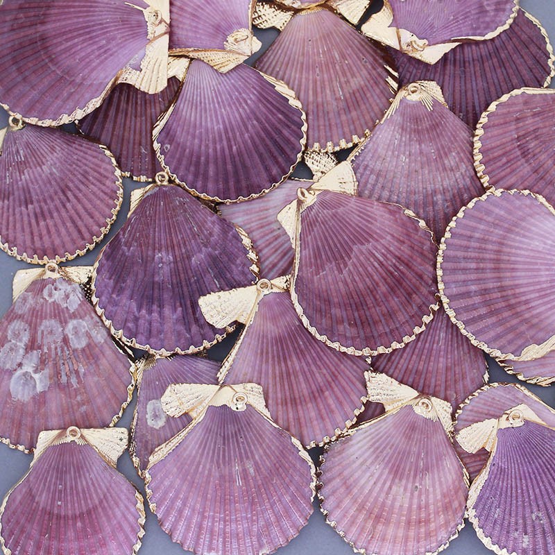 Pendants shells with a circle purple / gold various sizes, 1pc MU041