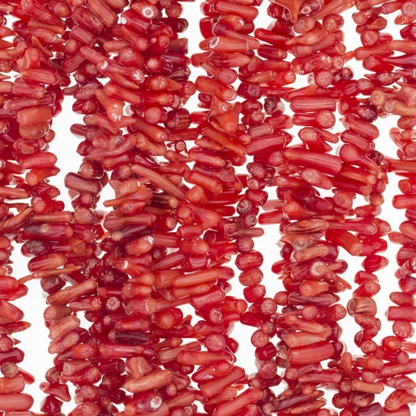 Red coral / chaff 5-18mm / rope 40cm / KAKC72