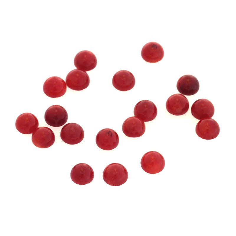 Coral cabochons / 5mm / red coral / 1pc / KBKO0501
