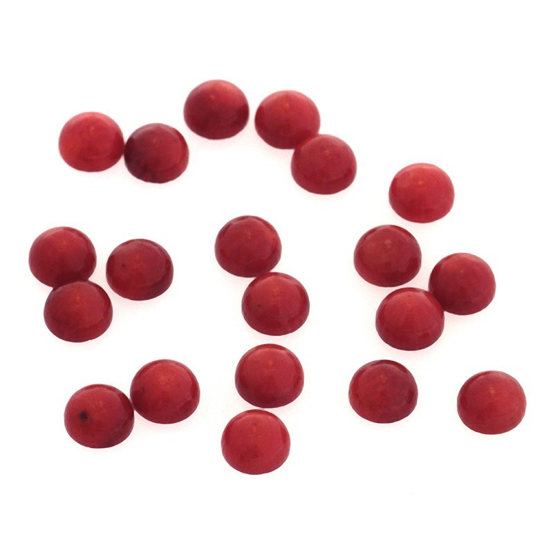 Coral cabochons / 6mm / red coral / 1pc / KBKO0601