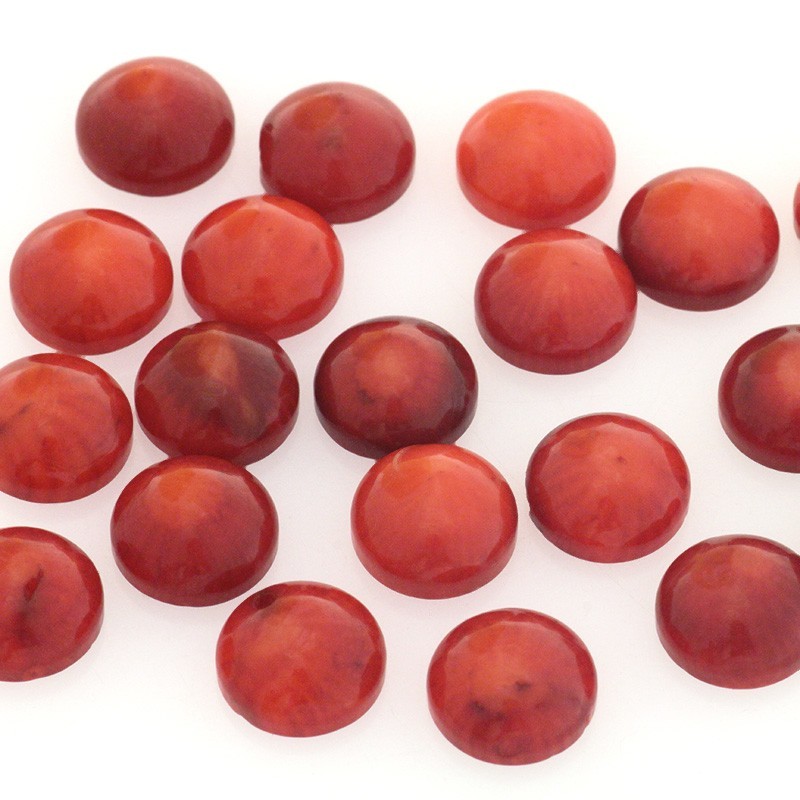 Coral cabochons / 10mm / red coral / 1pc / KBKO1001