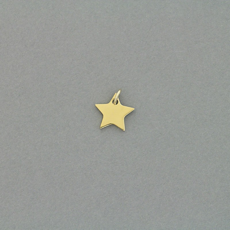 Star pendant / surgical steel gold-plated / 13mm 1pcs AKGSCH010KG