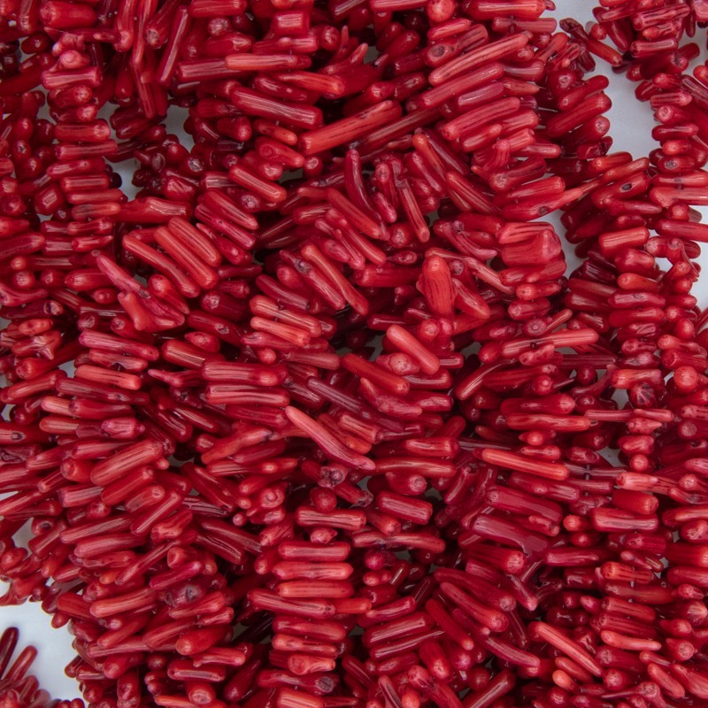 Natural red coral / chaff approx.10mm / rope 40cm / KAKC88