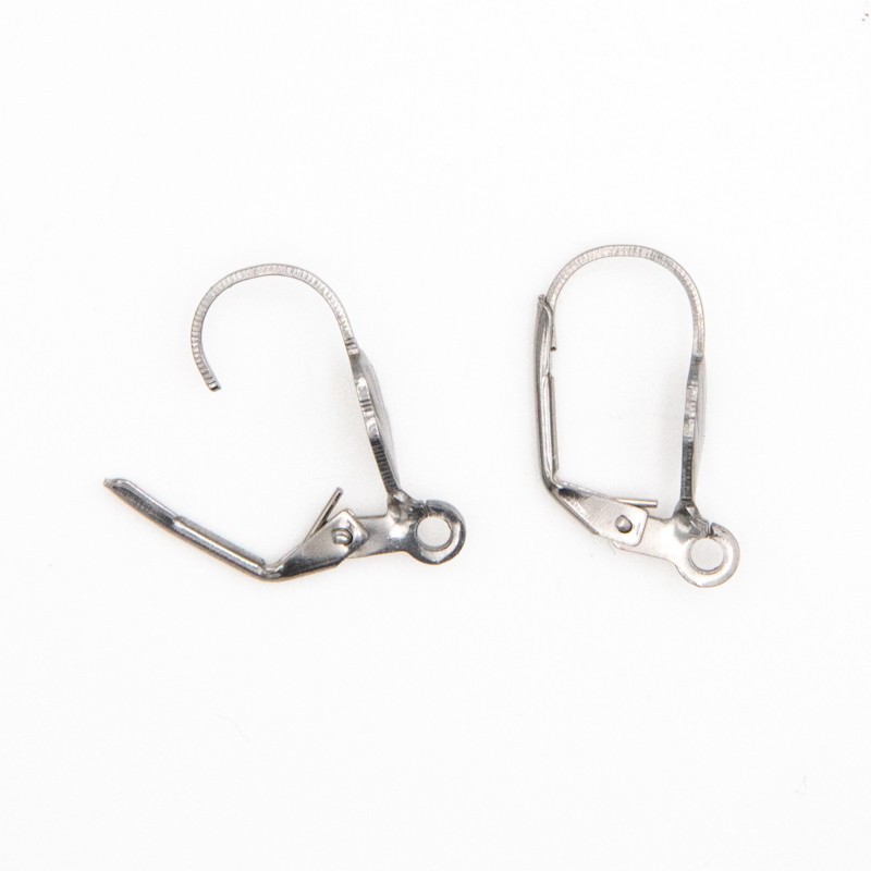 English earwires with a shell / surgical steel / 2pcs / 19x10mm BKSCH36