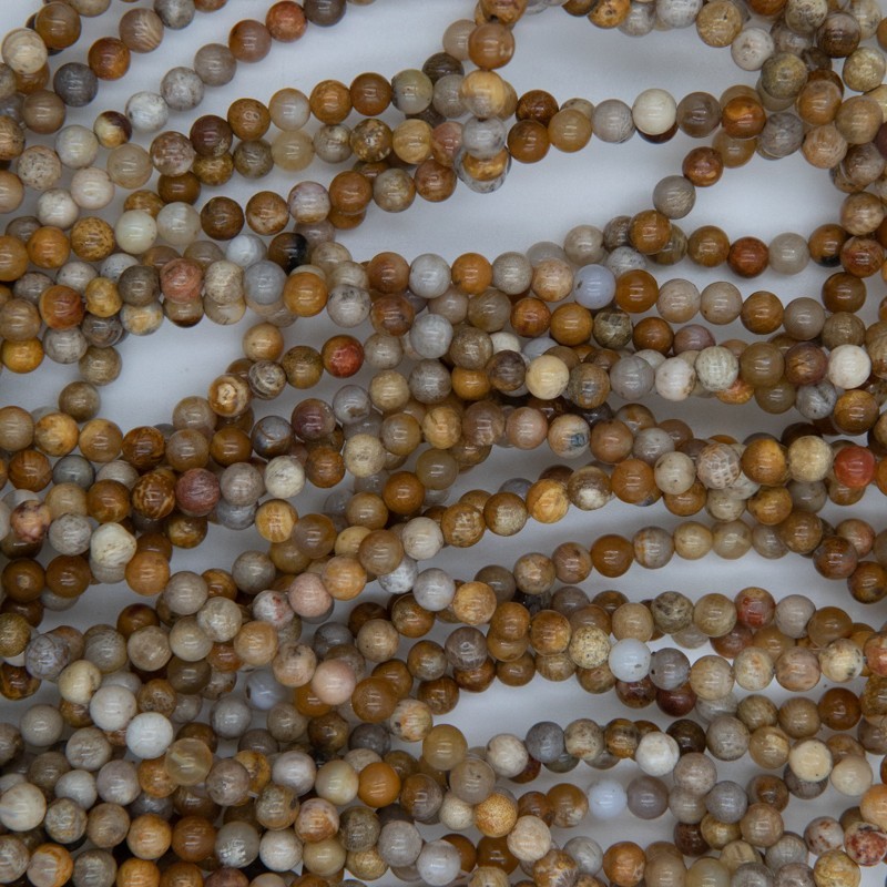 Petrified coral / beads beads 4mm 85pcs / rope KACF04