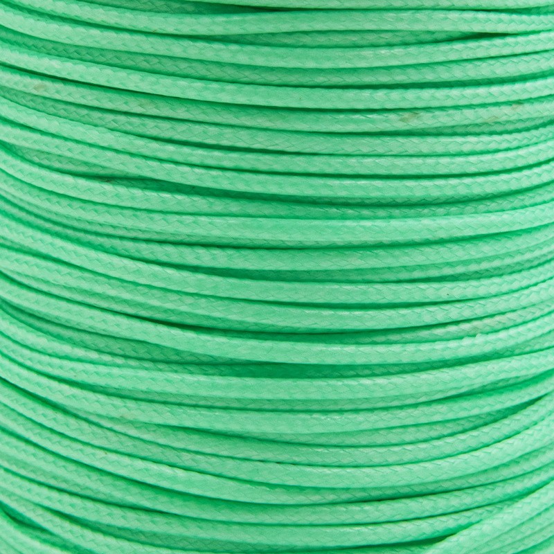 Braided string 2mm / juicy mint / 2m PW2MM39A