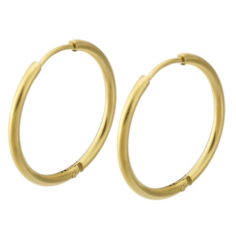 Hoop earrings/ surgical steel/ 25x2mm/ gold-plated/ 2pcs BKSCH55KG1