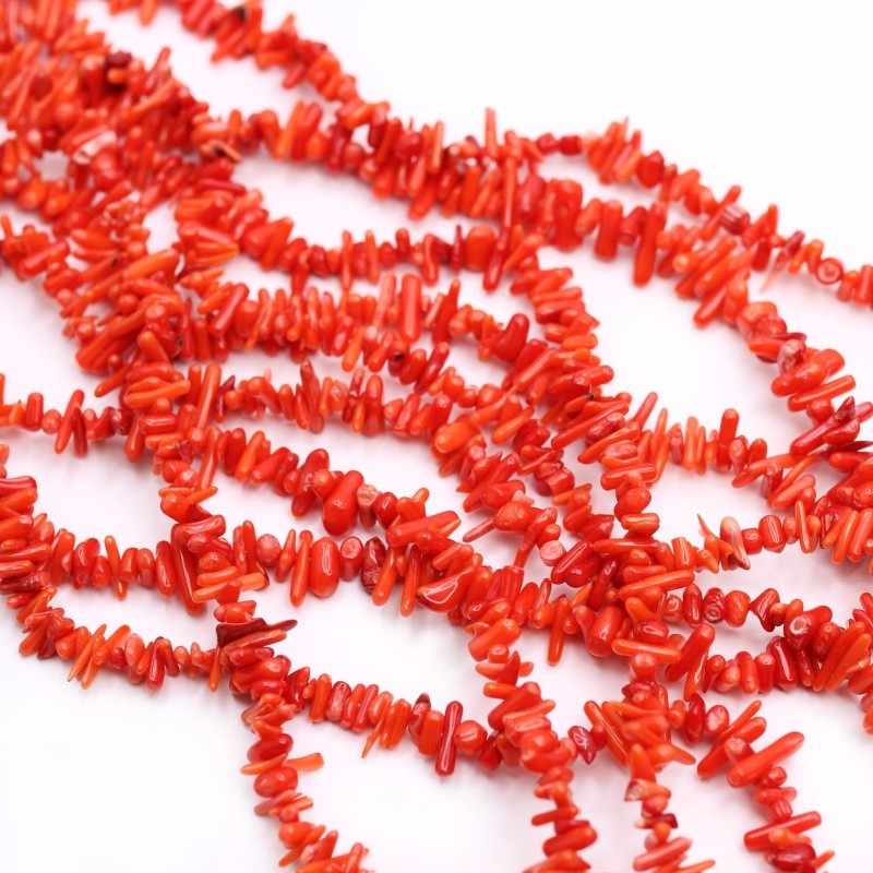 Intense orange coral/ chaff 8-14mm/ cord 40cm/ KAKC82A